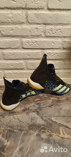 Сороконожка