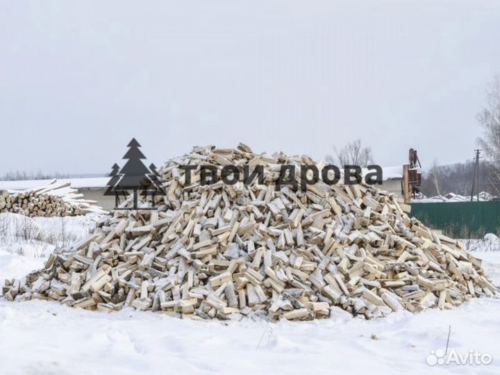 Дрова колотые береза