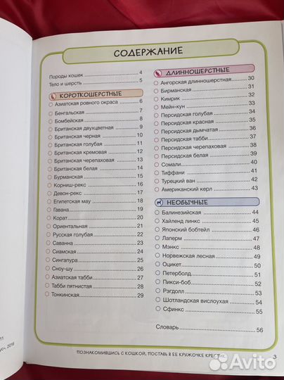 Кошки книги новые