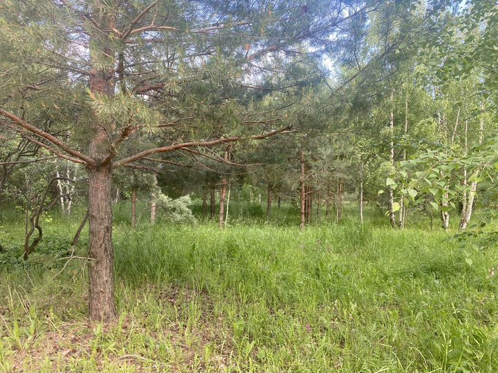 Участок 6 сот. (СНТ, ДНП)