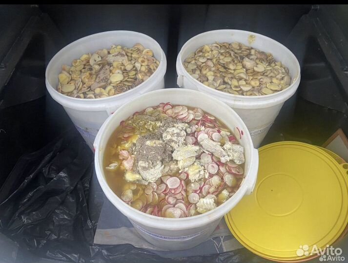 Пищевые отходы для животных