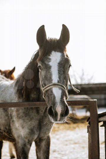 Коттедж 100 м² на участке 20 сот.