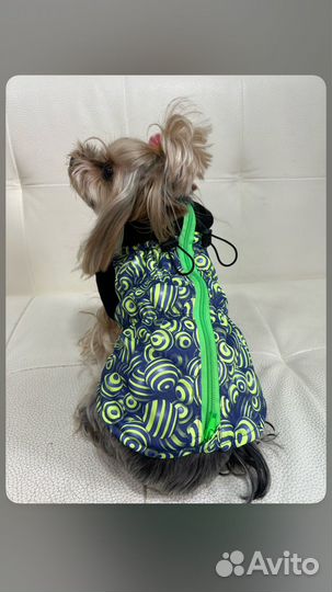 Одежда для собак