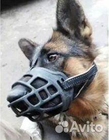 Намордник для крупных собак