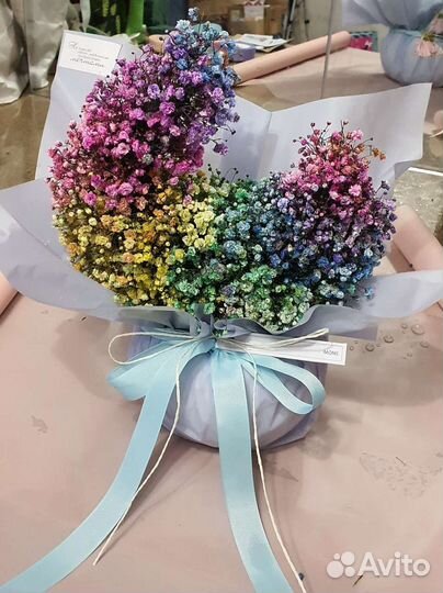 Радужная гипсофила