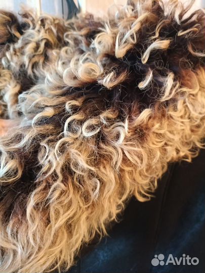 Дубленка натуральная женская 42 44