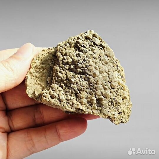 Гранат друза минерал