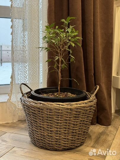 Кашпо из ротанга 18л