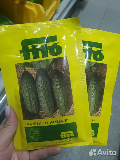 Семена Огурец Казбек 1000с Семиллас Фито