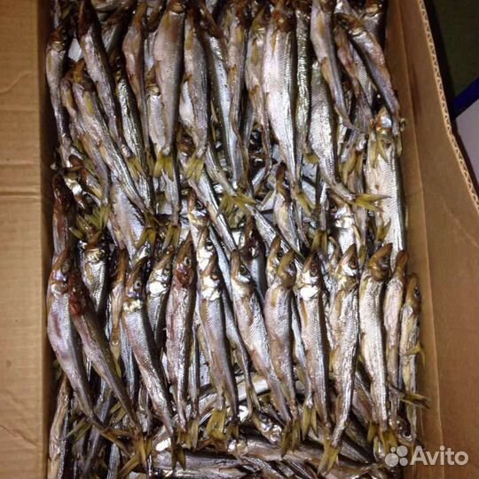 Корюшка дв Дальневосточная Сахалин