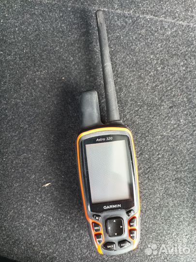 Garmin ошейник T5 US