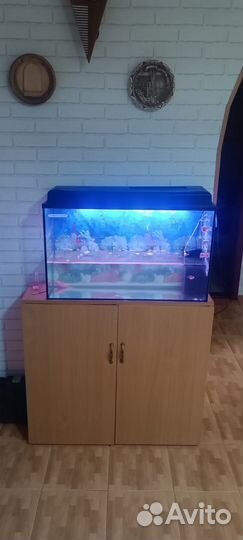 Аквариум с тумбой