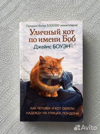 Книга «Уличный кот по имени Боб»