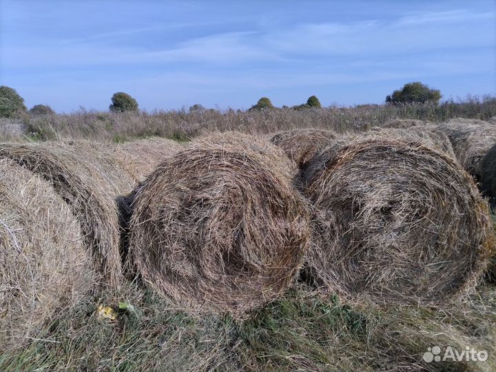 Солома в рулонах