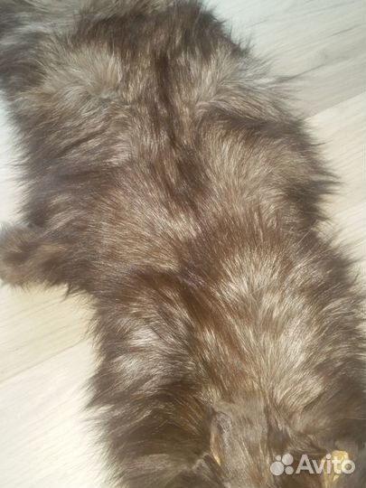 Шкурка песца