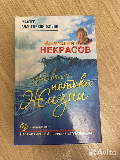 Анатолий Некрасов - На волне потока жизни