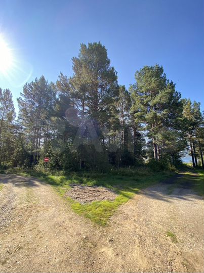 Участок 35 сот. (СНТ, ДНП)