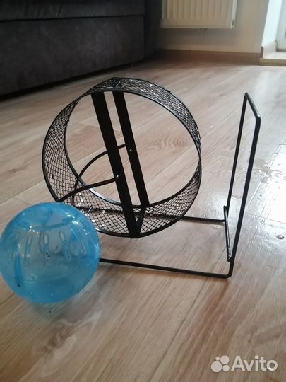 Колесо и шар для грызуна