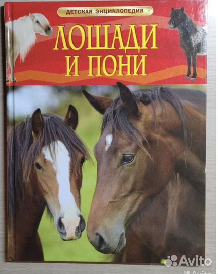 Книги эксклюзивная классика и не только