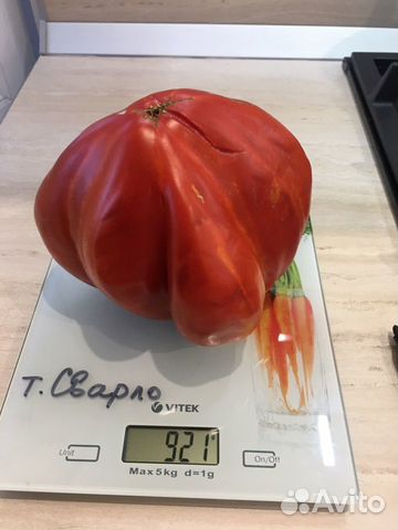 Семена сортовых томатов