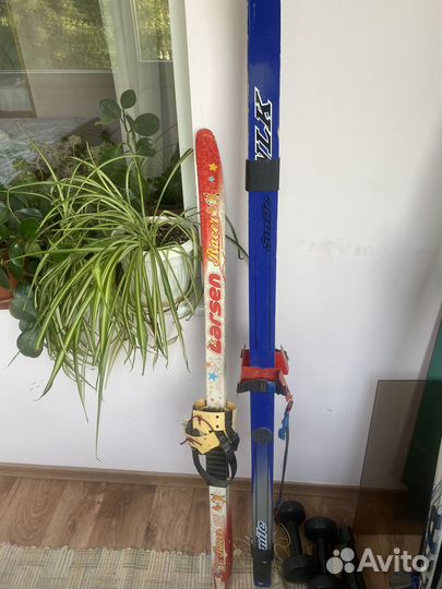 Лыжные ботинки