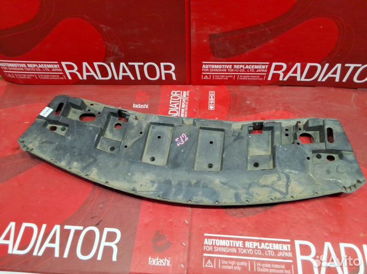 Защита бампера Nissan Note E12 передняя