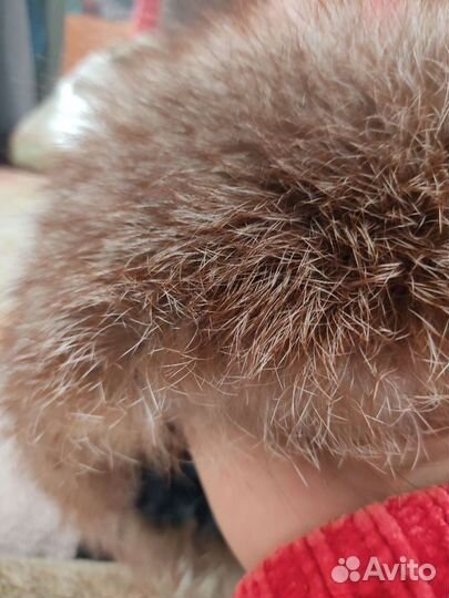 Натуральный мех, шапка, воротник,желет