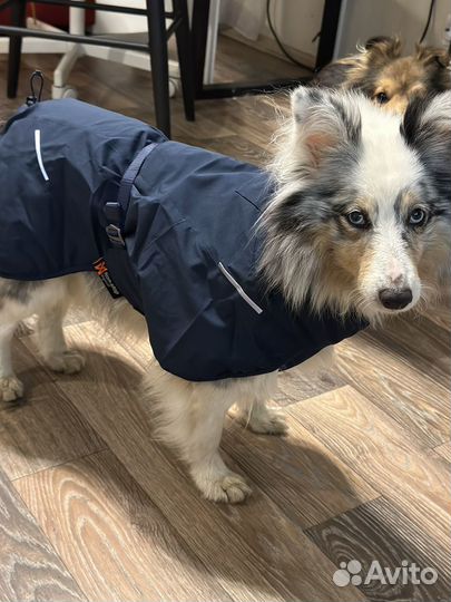 Куртка Glacier Wool jacket 2.0