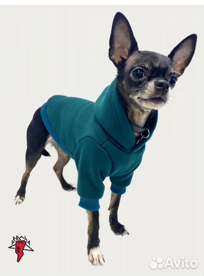 Зимний комбинезон для собак мелких пород