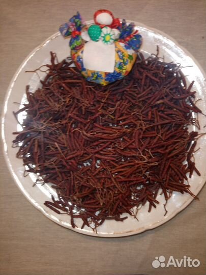 Шишки ольхи, лист ольхи, серёжки ольхи