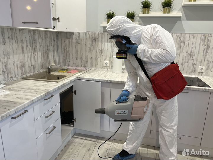 Уничтожение клопов, тараканов, мышей