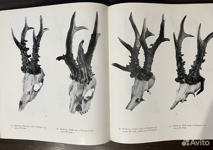Фарфор каталоги коллекционера разное