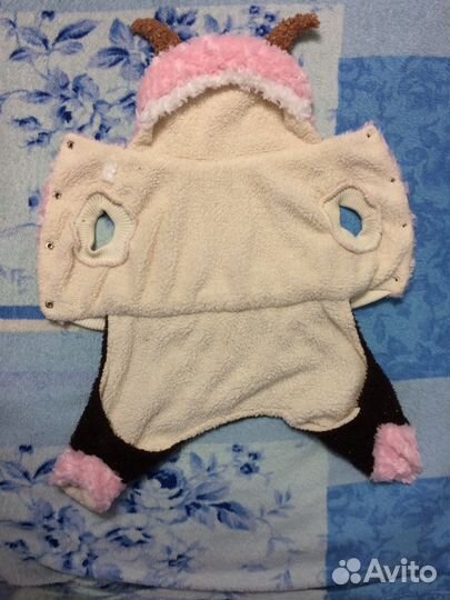 Одежда для собак