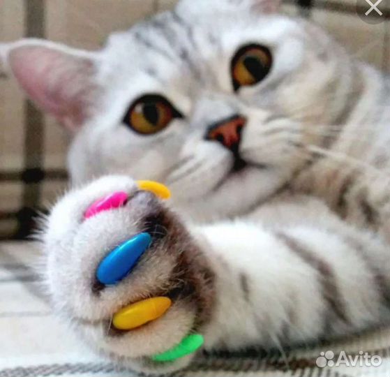 Антицарапки.Насадки на когти новые