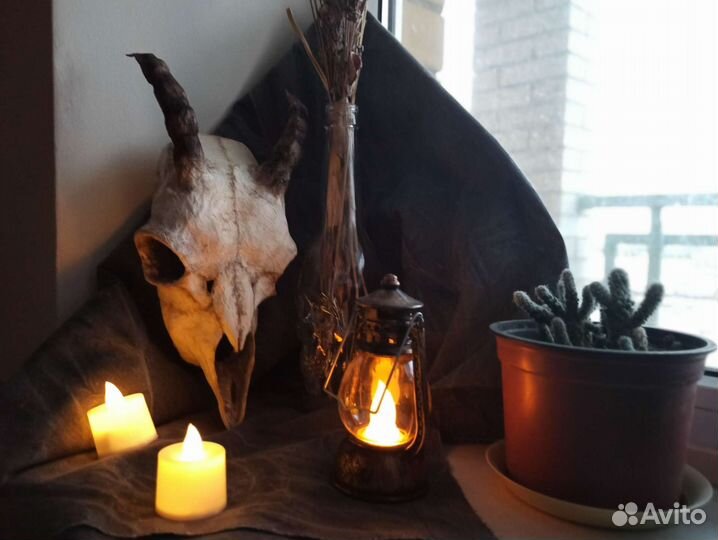 Череп из папье-маше