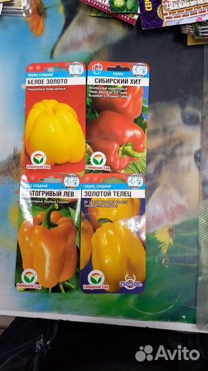 Семена перца