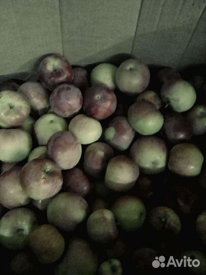 Продукты питания