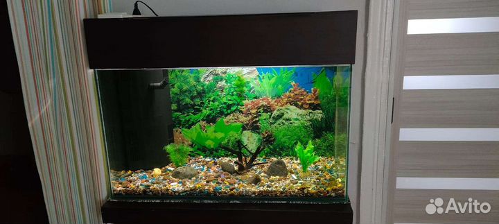 Аквариум 80х34.Высота 60 с крышкой. Крышка съёмная