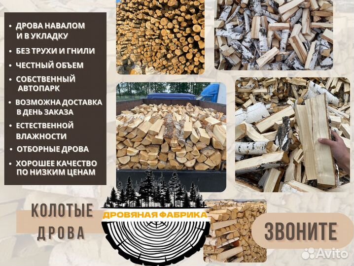 Дрова береза