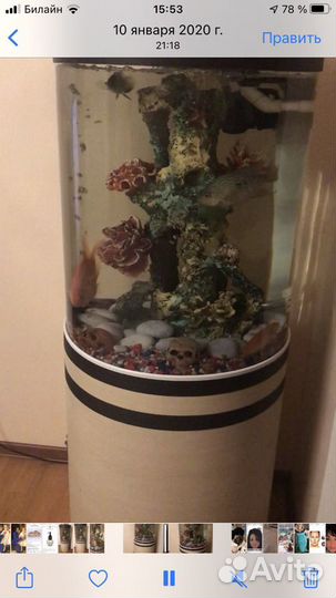 Аквариум торг