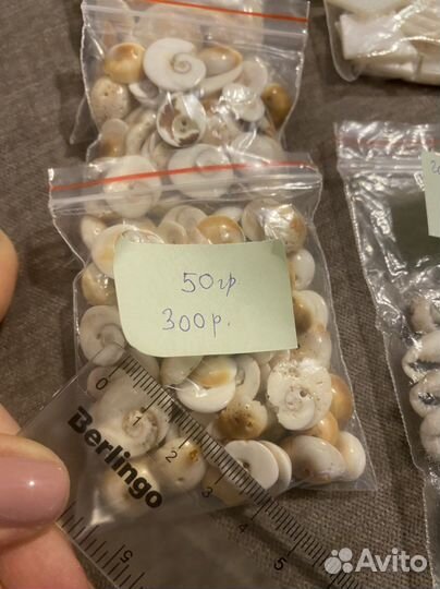 Ракушки бусины натуральный