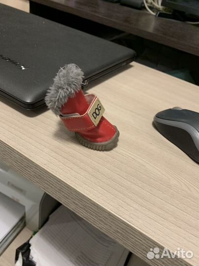 Продам ботинки для собак Размер 2