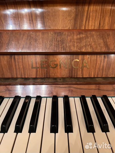 Пианино legnica