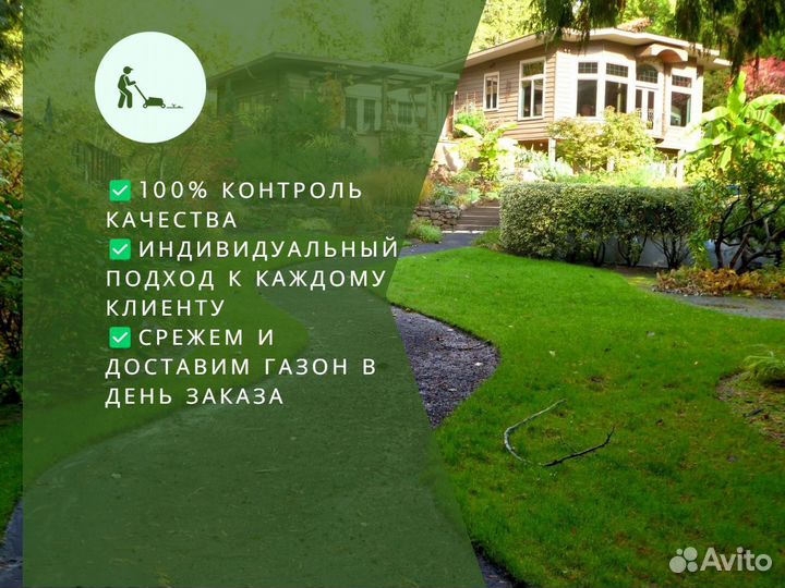 Укладка газона