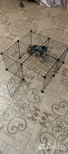 Клетка для животных