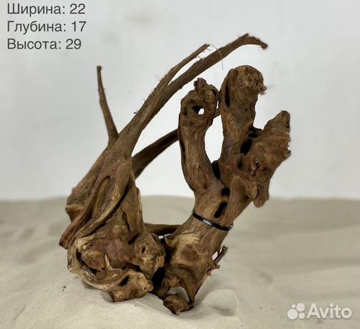 Мангровая коряга