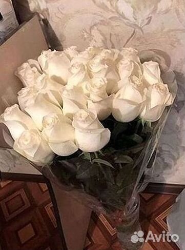 101 роза цветы букеты доставка 25 51 101 роза