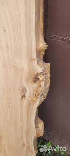 Продам слэбы ореха, карагача, ясеня, шелковицы