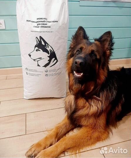 Корм Promenade для собак из рыбы 12 кг