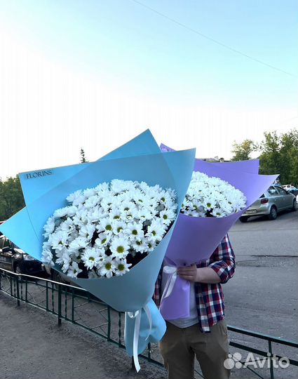 Гигант из ромашек